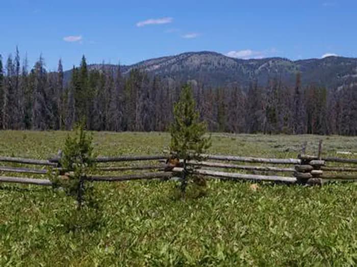 Elk Creek Campground (Sawtooth NF) in Idaho