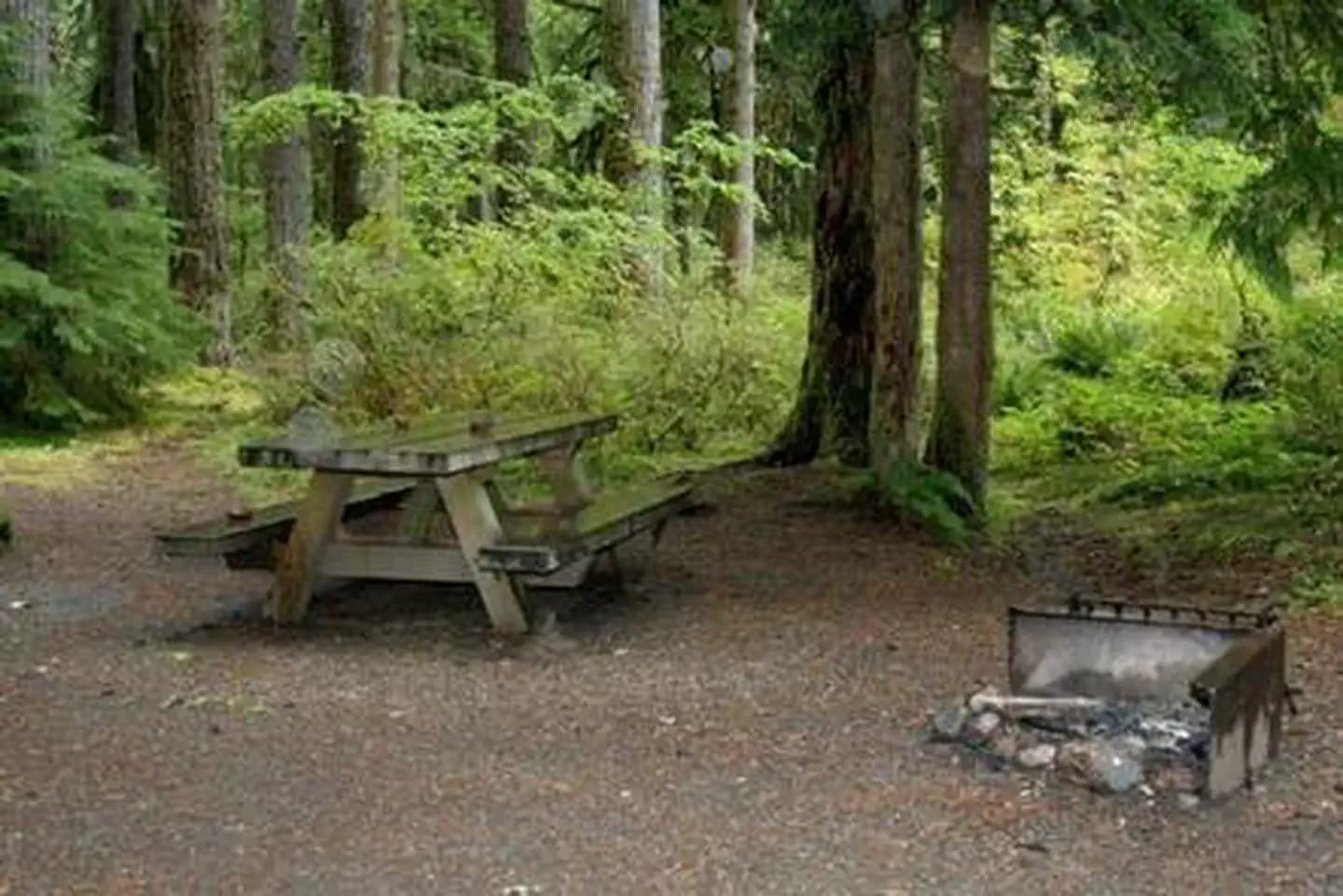 Park Creek Campground in Washington