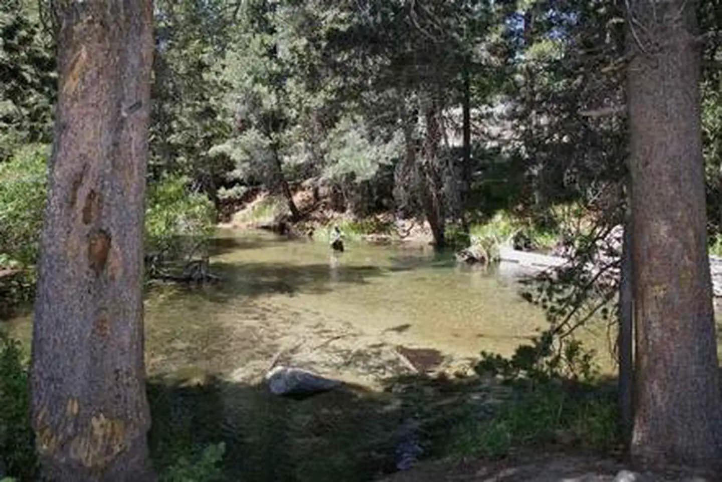 LOWER TWIN LAKES AT BRIDGEPORT campground