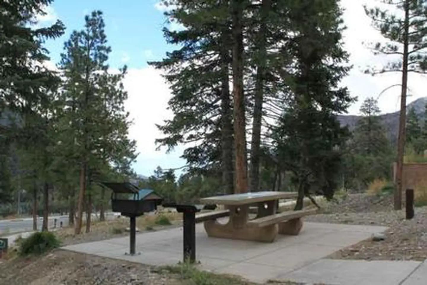CATHEDRAL ROCK PICNIC AREA campground