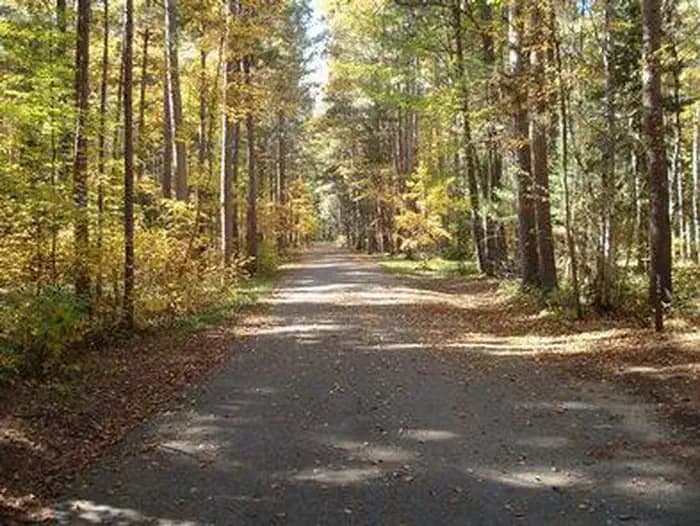 Norway Beach Loop Campground in Minnesota