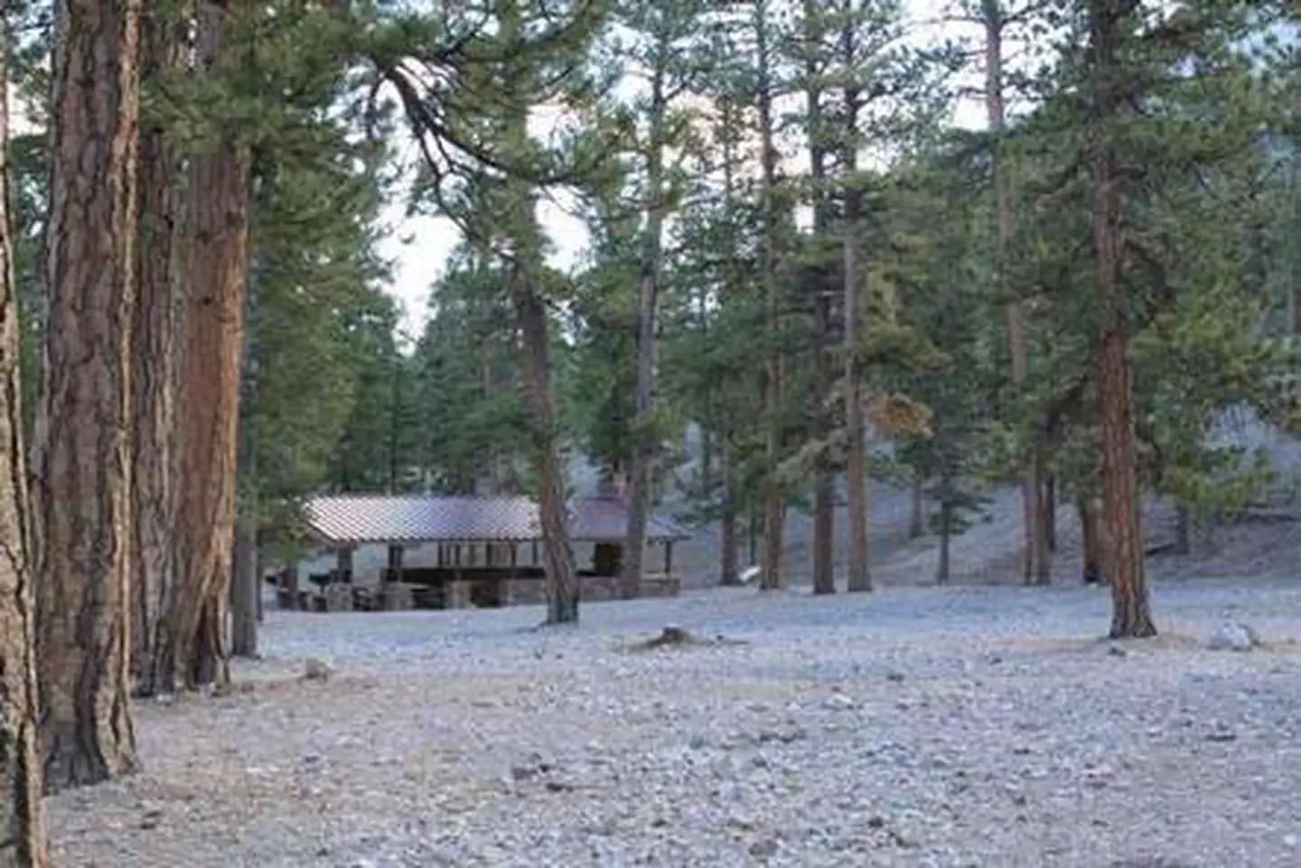 FOXTAIL GRP PICNIC AREA campground