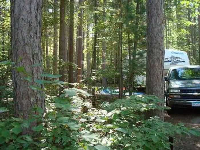 Chippewa Loop Campground in Minnesota