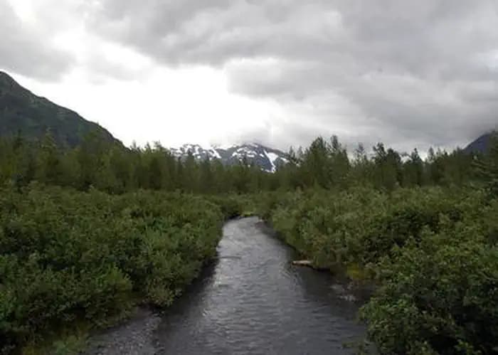 WILLIWAW CAMPGROUND campground