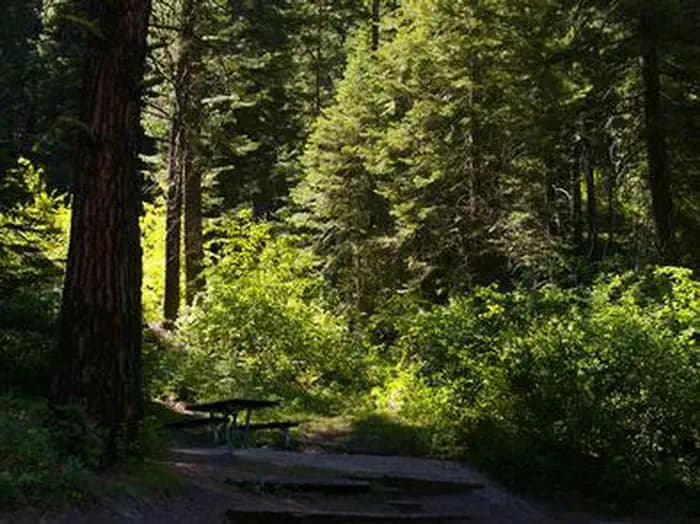 SWINGING BRIDGE campground