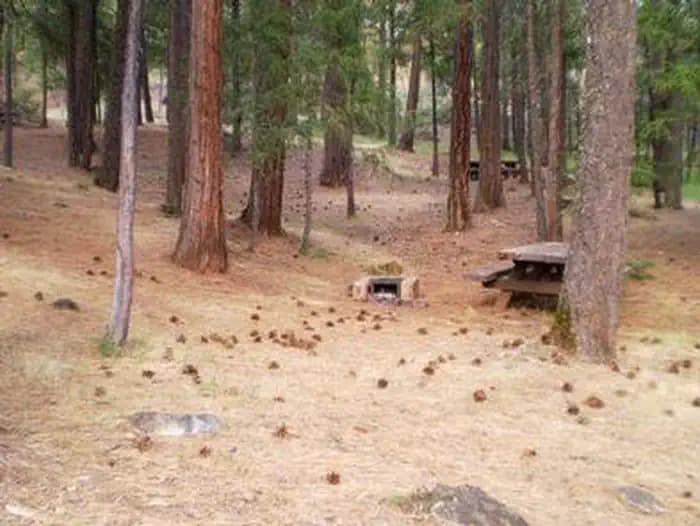 STONEY GROUP SHASTA-TRINITY campground