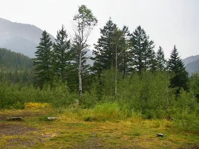 Little Cottonwood Group Campground in Wyoming
