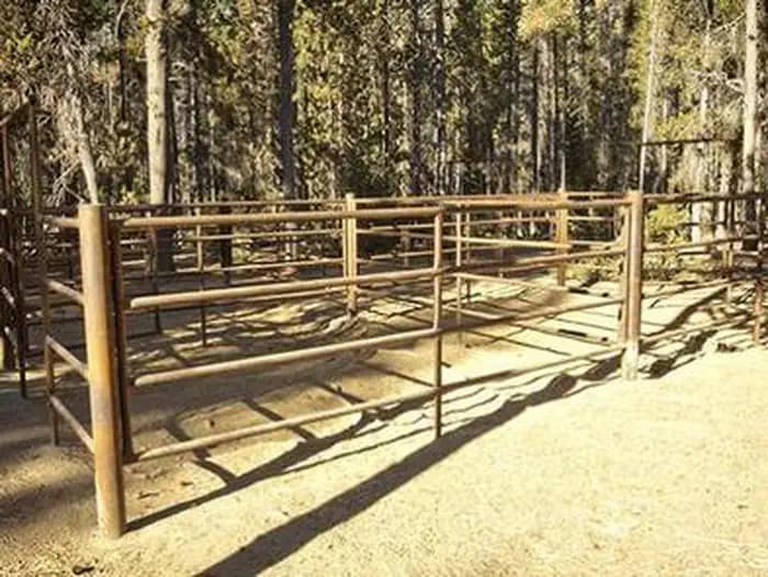 WHITEFISH HORSE CAMP campground