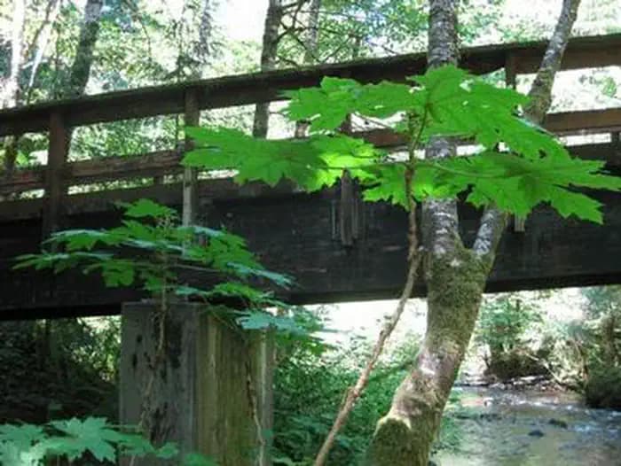 Camp Creek Campground in Oregon
