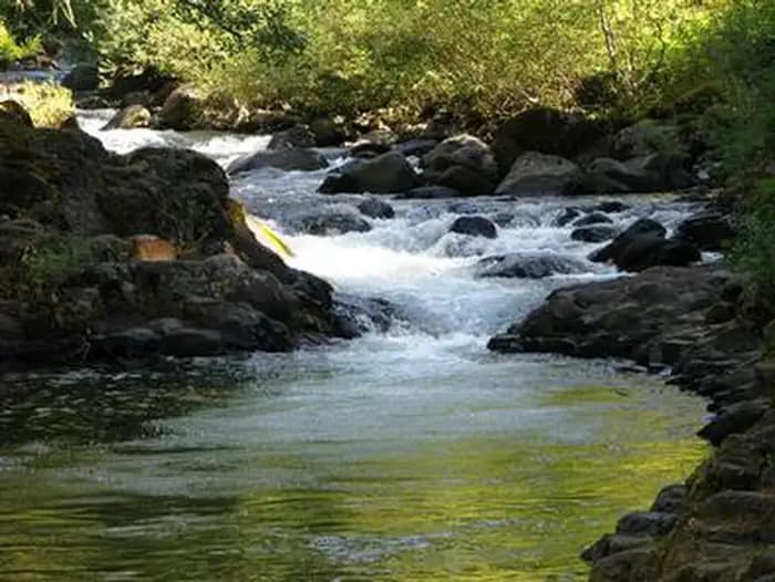 ROARING RIVER campground