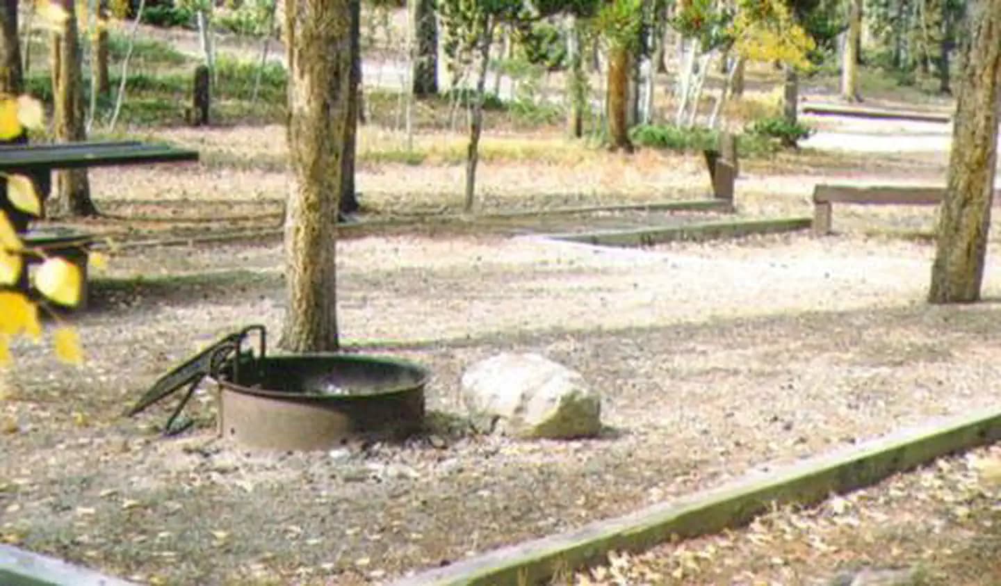 KENOSHA PASS CAMPGROUND campground