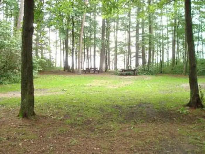 Winnie Campground - Usfs in Minnesota