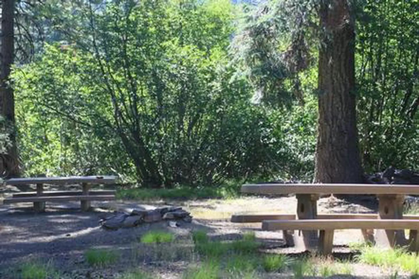 Masterson Group Campground in California