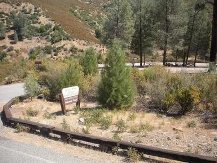 GRAY PINE GROUP CAMPGROUND campground