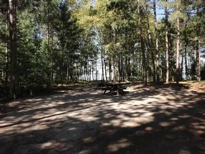 Wanaki Loop Campground in Minnesota