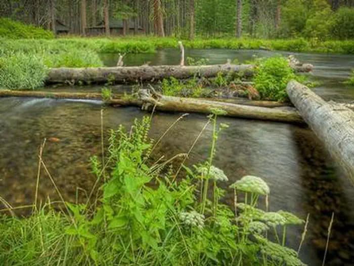 CAMP SHERMAN CAMPGROUND campground
