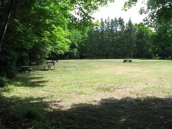 Marion Lake Group Site in Michigan