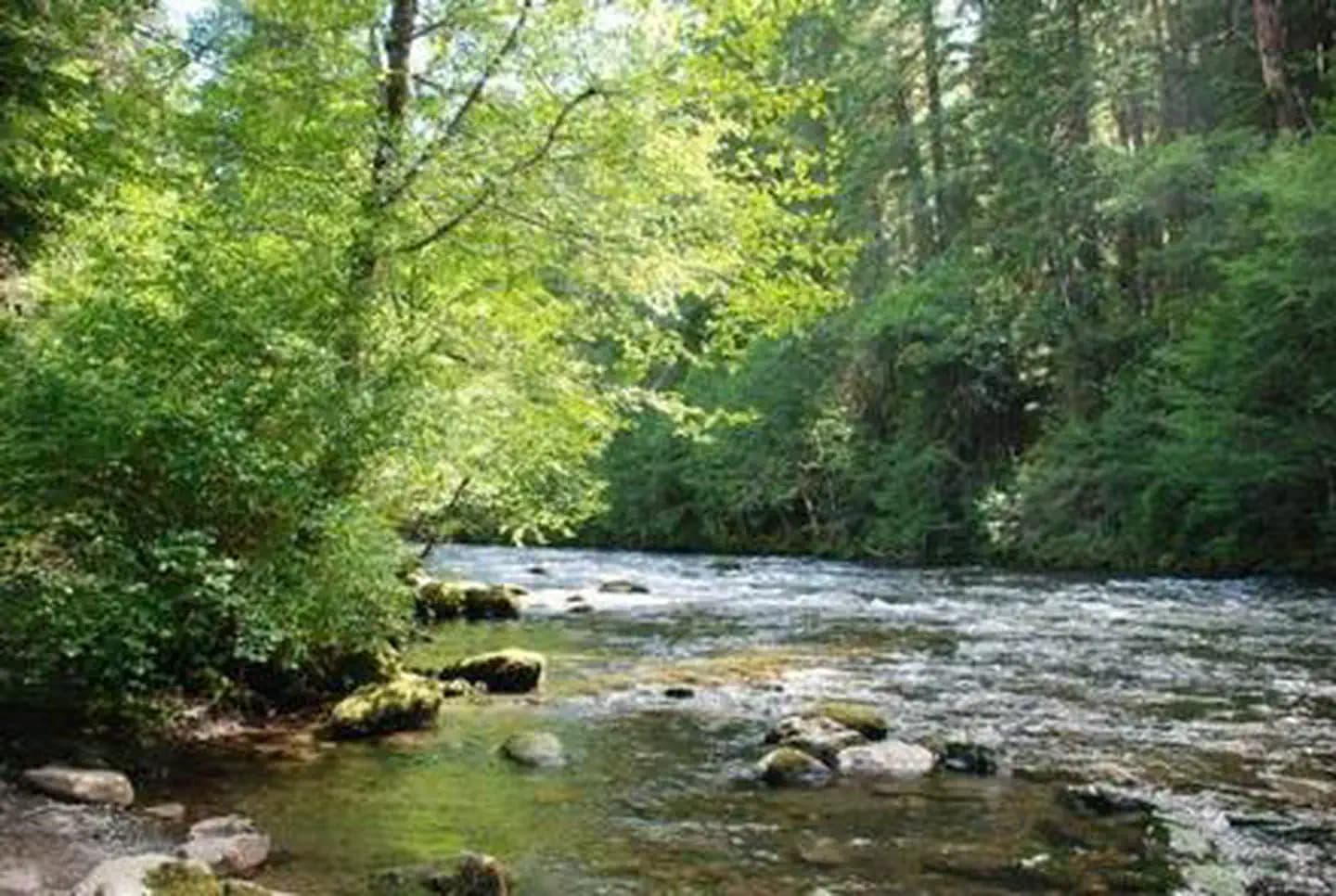 Riverside at Detroit (Willamette National Forest, or) Campground in Oregon