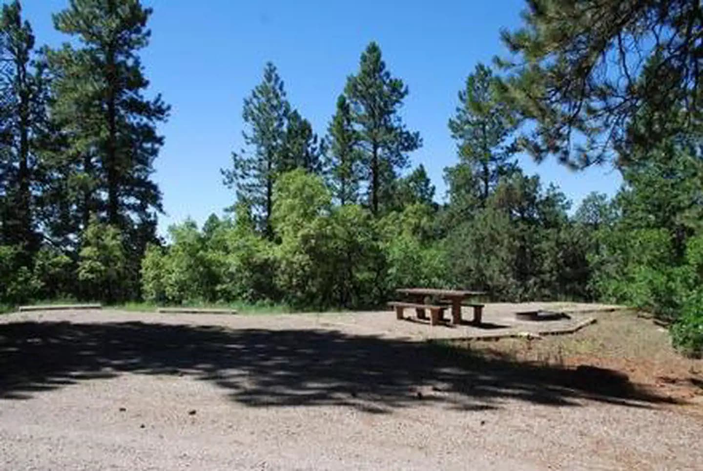 TARGET TREE CAMPGROUND campground