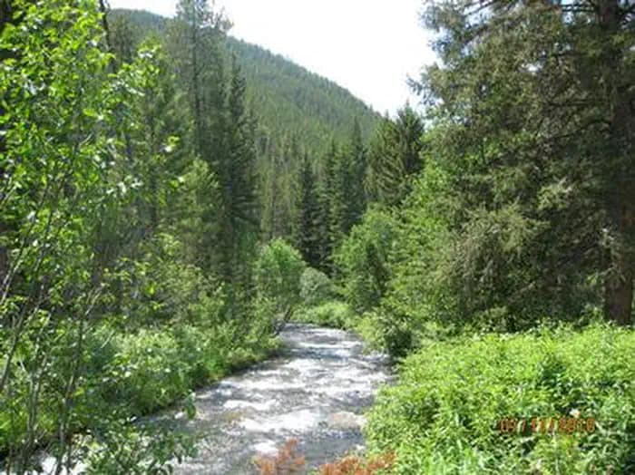 Swan Creek Campground in Montana