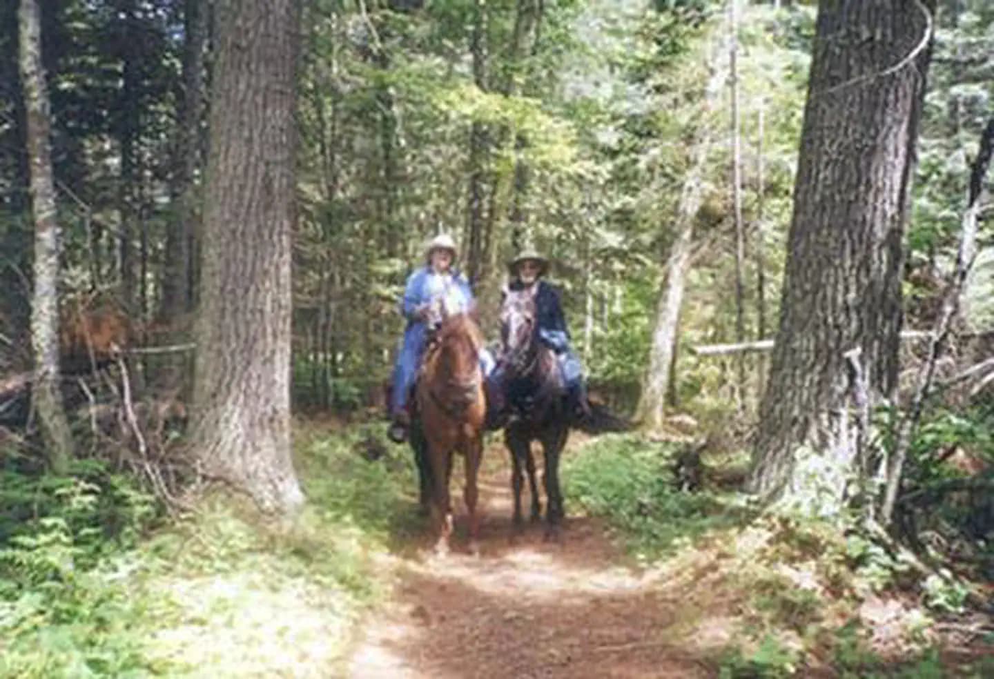 Cut Foot Horse Campground in Minnesota