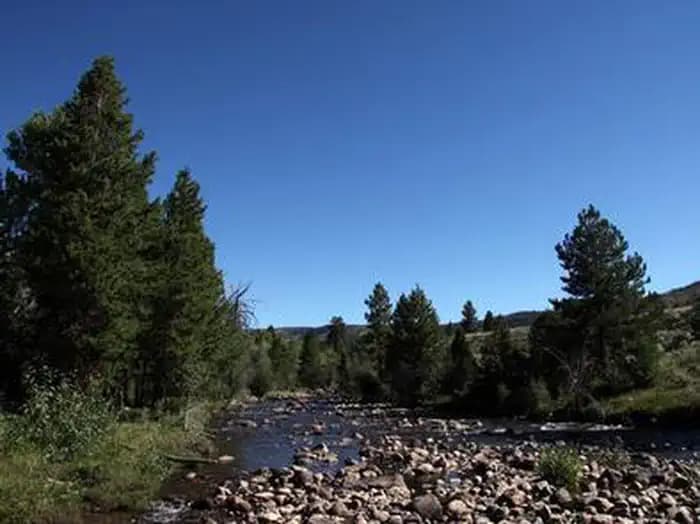YELLOWSTONE GROUP CAMPGROUND campground