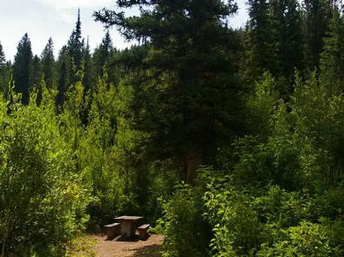 PARIS SPRINGS CAMPGROUND campground
