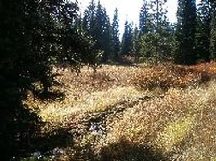 Emigration Campground in Idaho