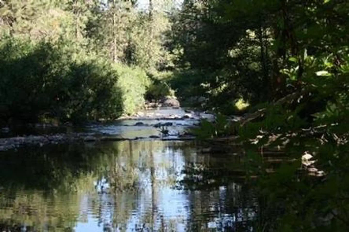SUMMERDALE CAMPGROUND campground