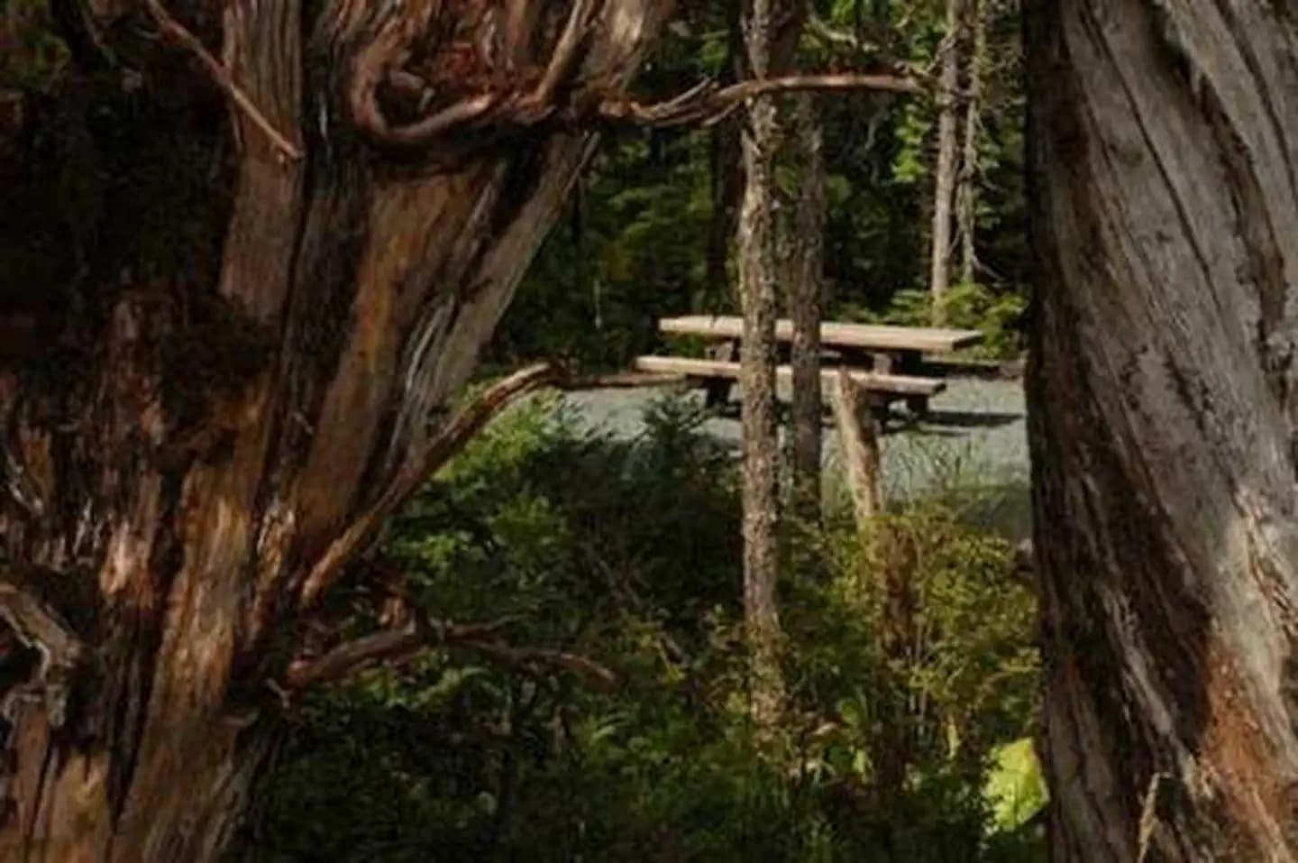 HARRIS RIVER CAMPGROUND campground