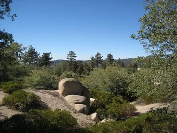 SHADY COVE GROUP CAMPGROUND campground
