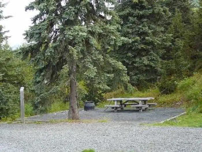 TENDERFOOT CREEK campground