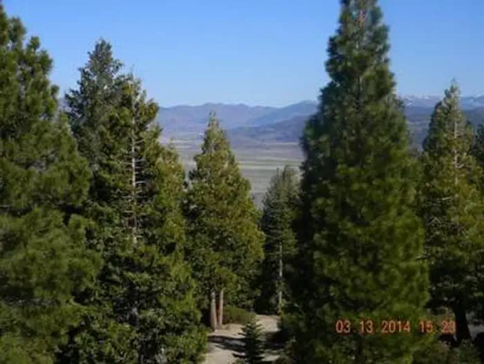 CALPINE LOOKOUT campground