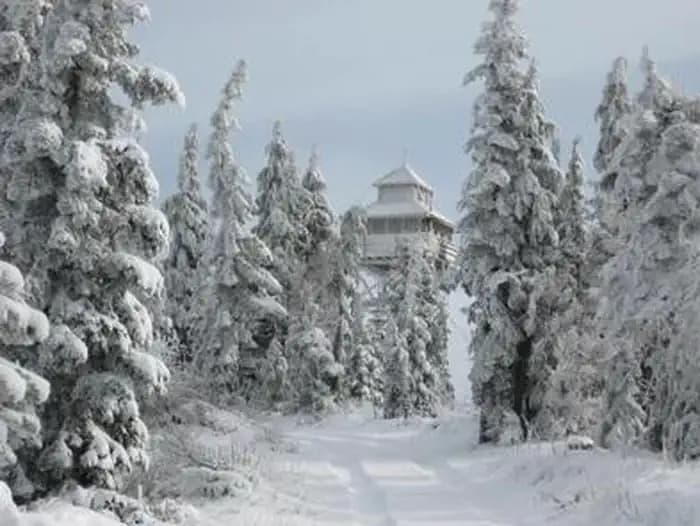 WARNER MOUNTAIN LOOKOUT campground