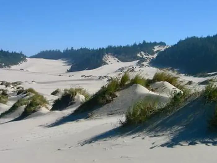 UMPQUA SAND CAMPING campground