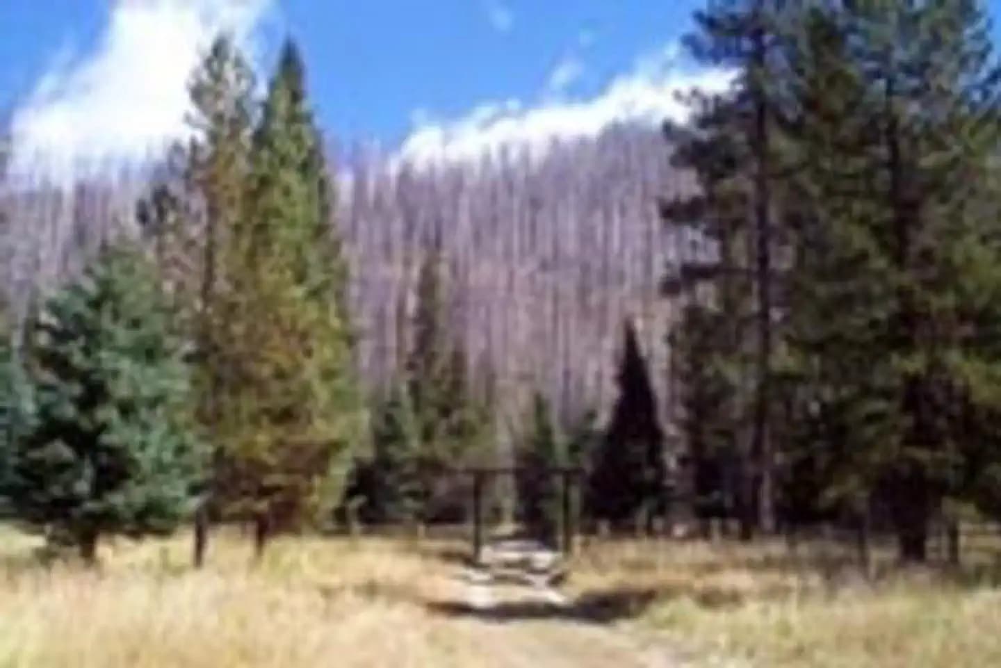 Peavy Cabin in Oregon