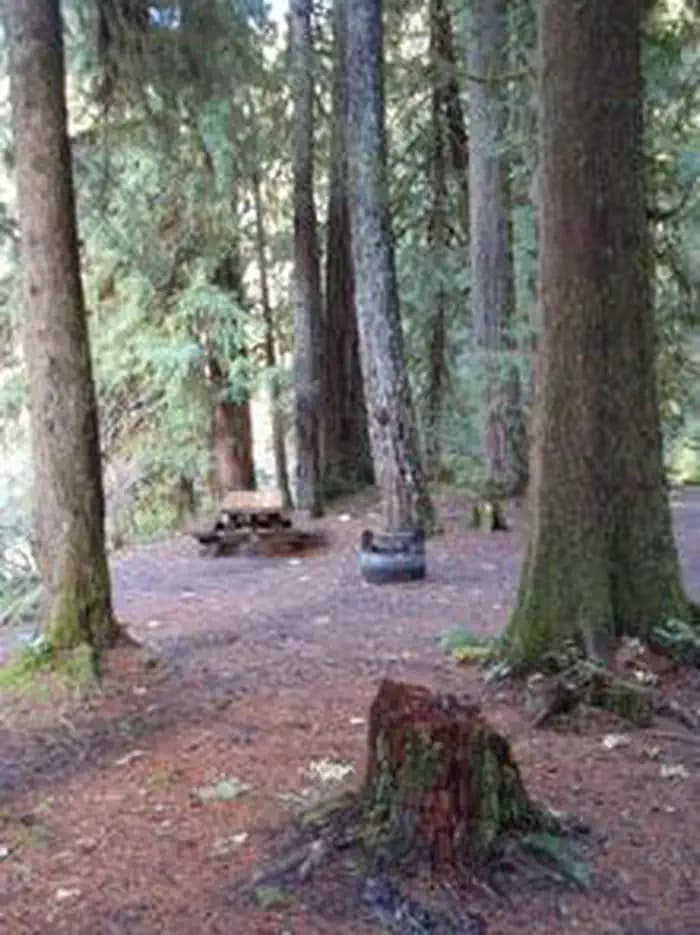 RED DIAMOND CAMPGROUND campground