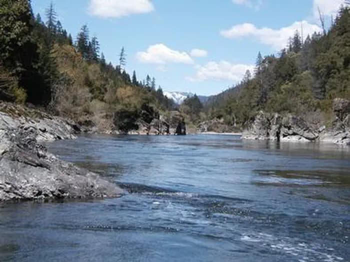 Tree of Heaven Campground in California