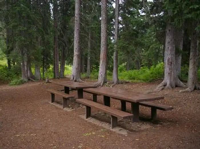 Cottonwood Group Campsite in Wyoming