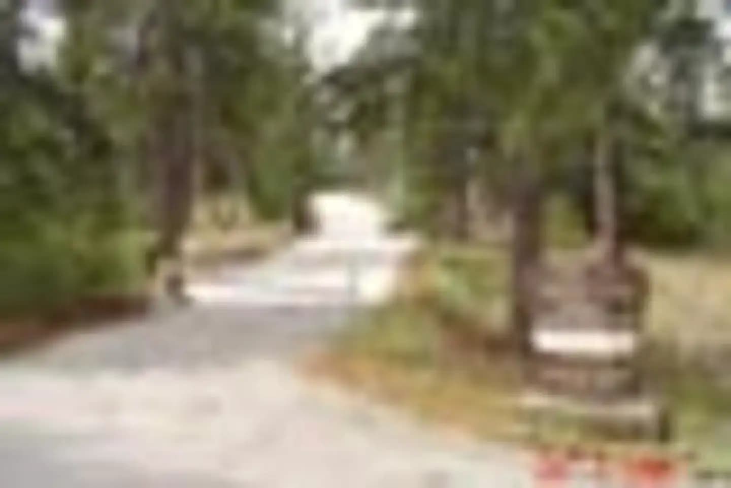 LIGHTNING POINT GROUP CAMPGROUND campground
