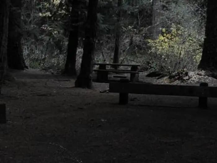 Limberlost Campground in Oregon