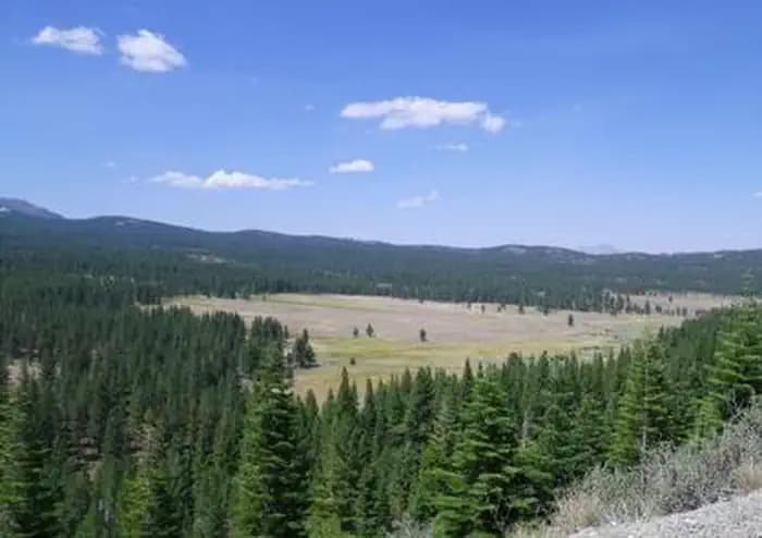 Lookout Campground campground