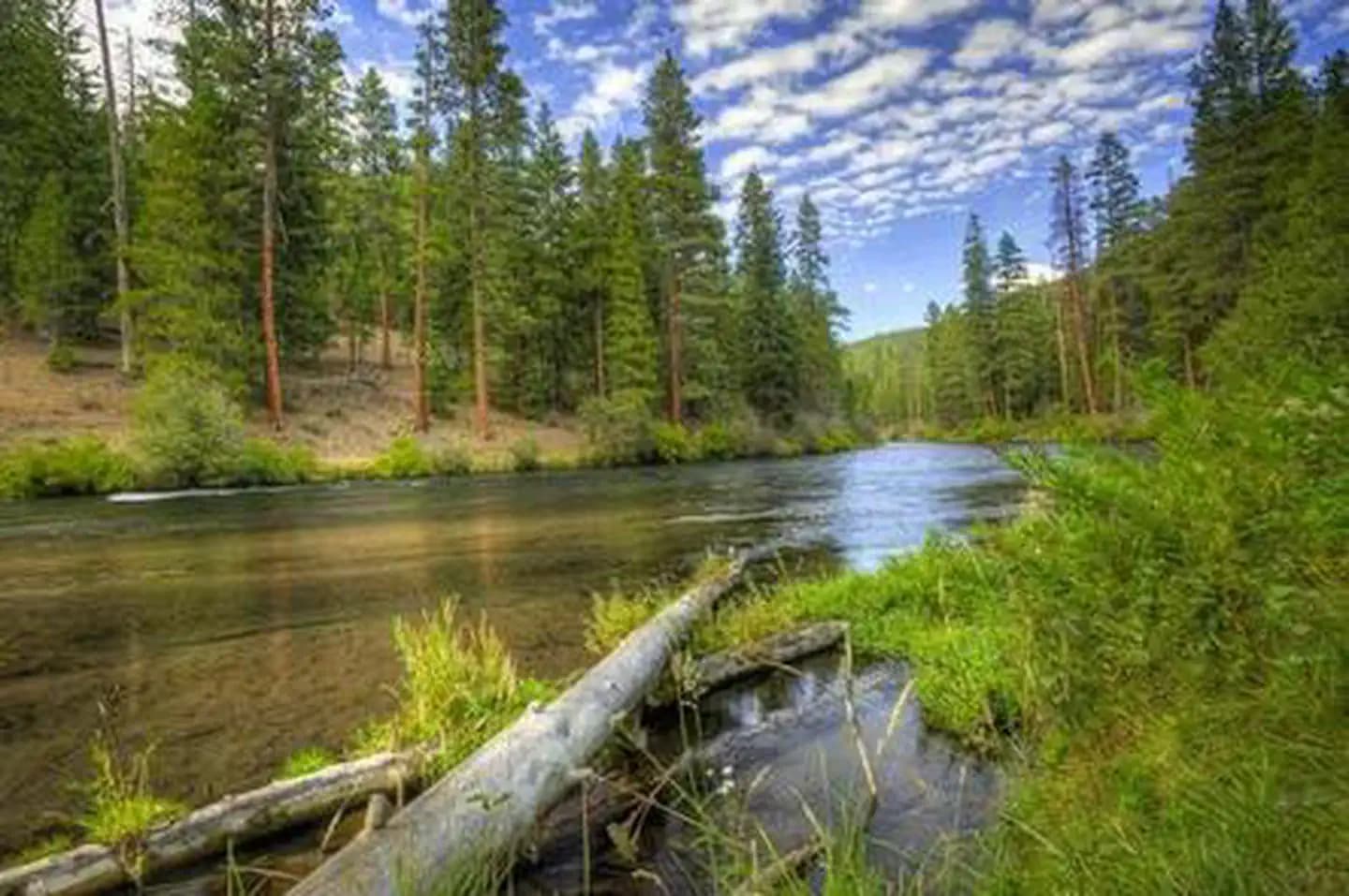 Pioneer Ford Campground campground