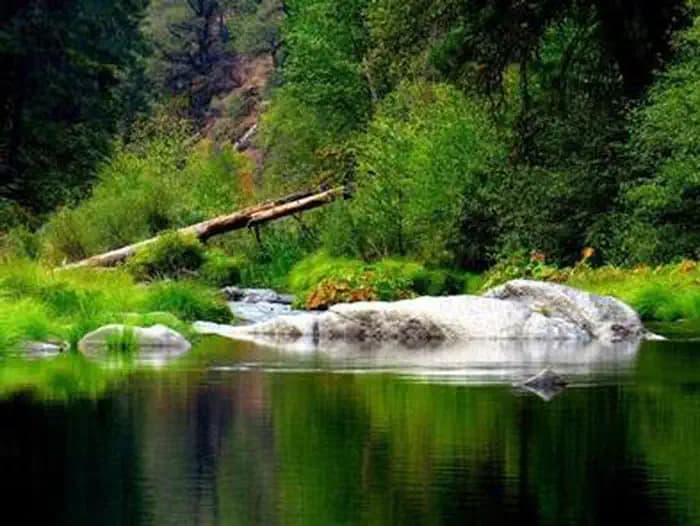 Bridal Veil Group Area and Picnic Ground Campground in California