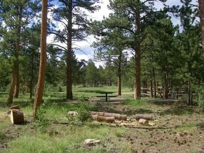 JACKS GULCH campground
