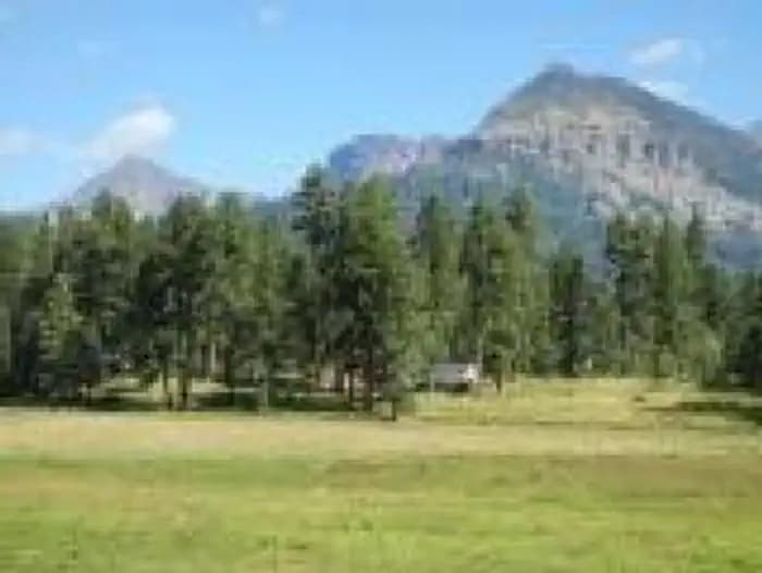 WILLIAMS CREEK CAMPGROUND campground