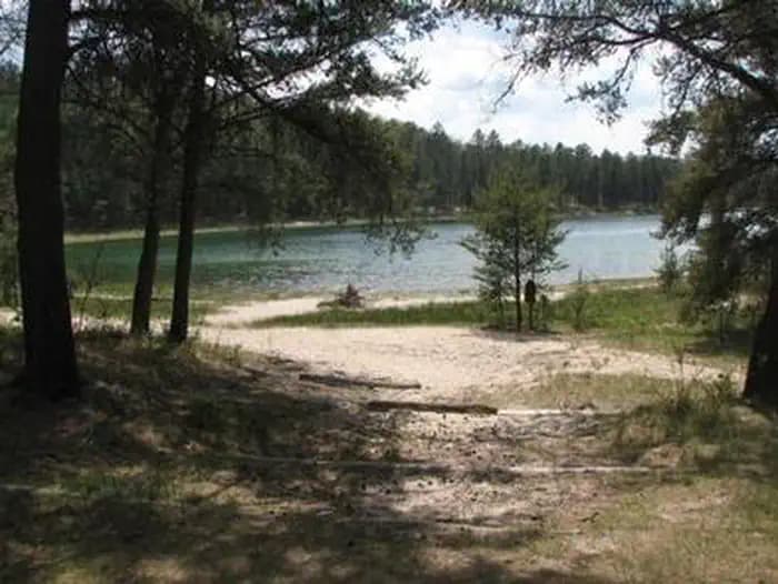 Chimney Loop Campground in Michigan