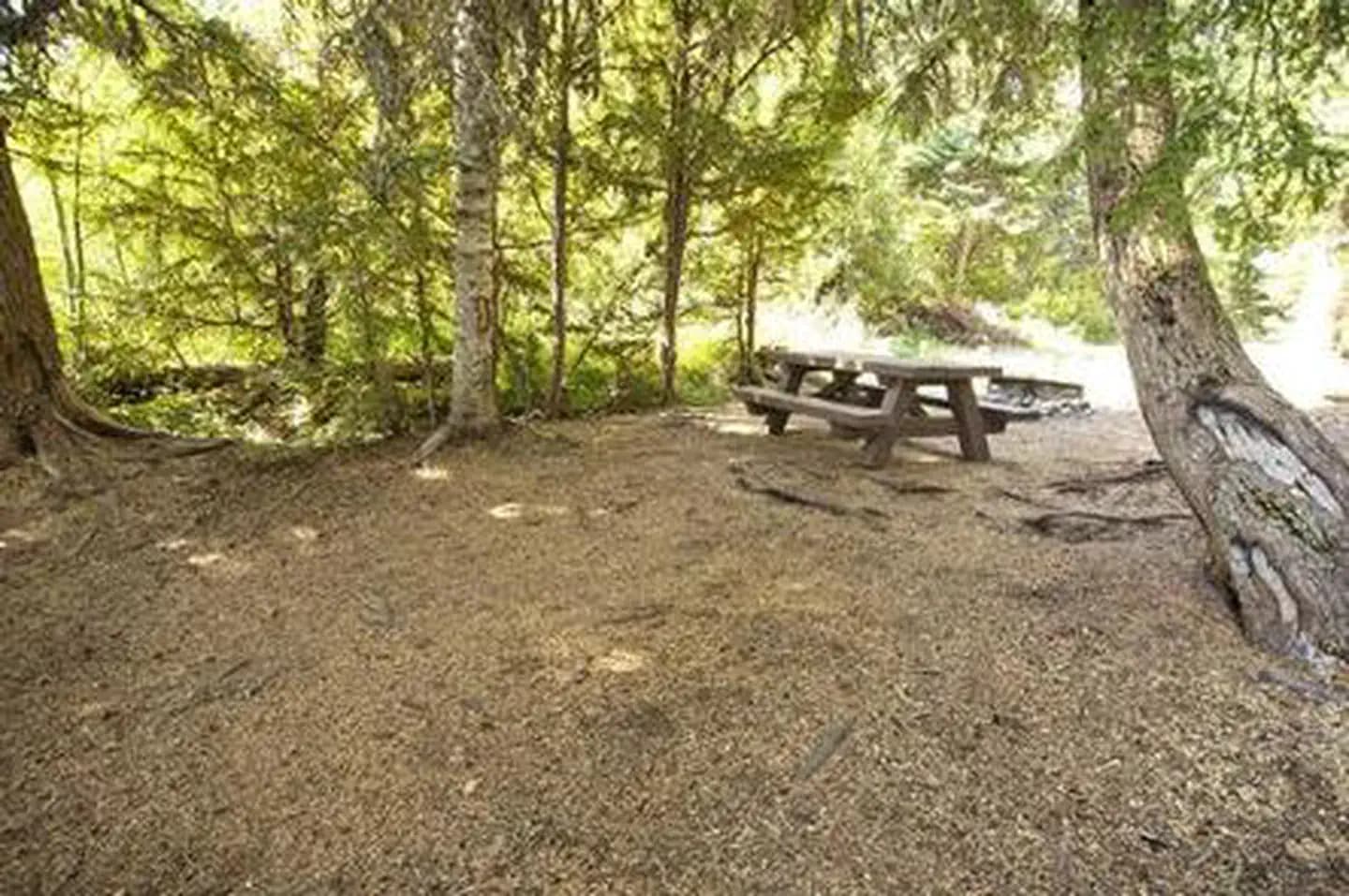 PRINCESS CREEK CAMPGROUND campground