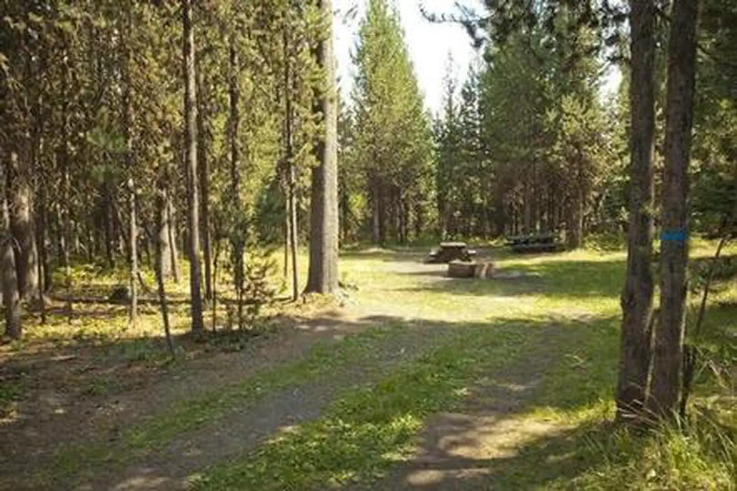 COW MEADOW CAMPGROUND campground