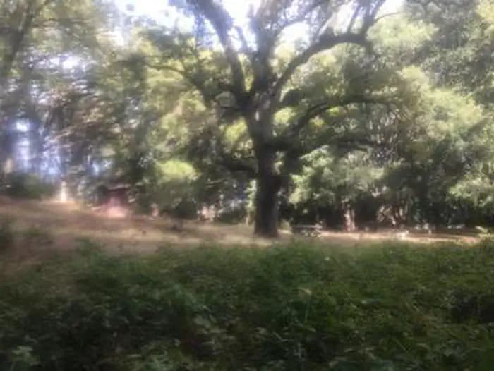 White Oaks Campground in California
